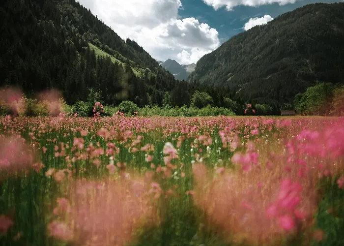 Haus Landart Appartement