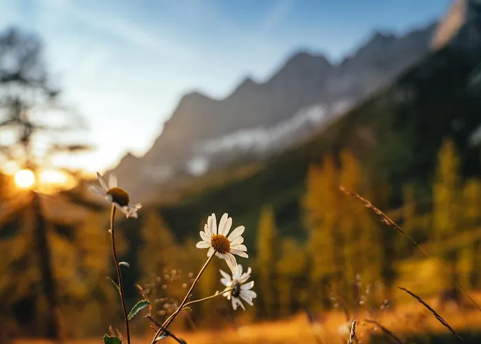 Haus Landart Apartment *